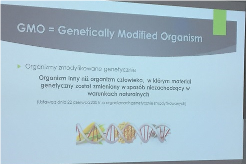 GMO